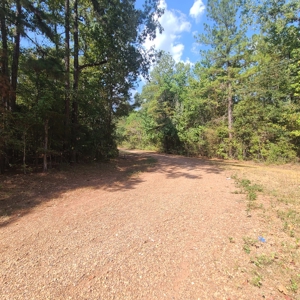 Land Auction 3.75 Acres Menard Creek Acres NO RESERVE - image 3