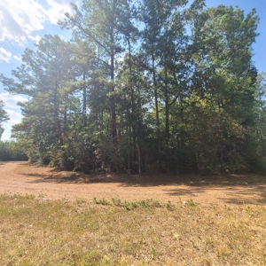 Land Auction 3.75 Acres Menard Creek Acres NO RESERVE - image 1