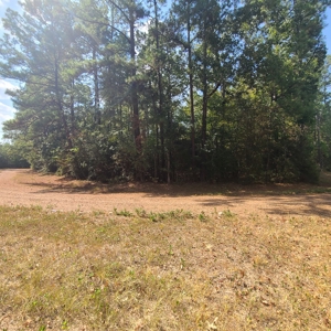 Land Auction 3.75 Acres Menard Creek Acres NO RESERVE - image 6