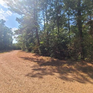 Land Auction 3.75 Acres Menard Creek Acres NO RESERVE - image 4