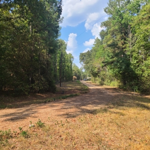 Land Auction 3.75 Acres Menard Creek Acres NO RESERVE - image 2