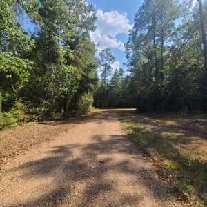 Land Auction 3.75 Acres Menard Creek Acres NO RESERVE - image 10