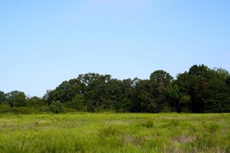 NO RESERVE LAND AUCTION, Hunting Recreational, Asher, OK - image 10