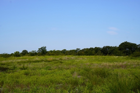 NO RESERVE LAND AUCTION, Hunting Recreational, Asher, OK - image 9