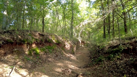 NO RESERVE LAND AUCTION, Hunting Recreational, Asher, OK - image 3