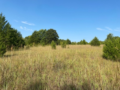 NO RESERVE LAND AUCTION, Hunting Recreational, Asher, OK - image 1