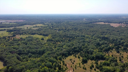 NO RESERVE LAND AUCTION, Hunting Recreational, Asher, OK - image 6