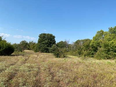 NO RESERVE LAND AUCTION, Hunting Recreational, Asher, OK - image 8