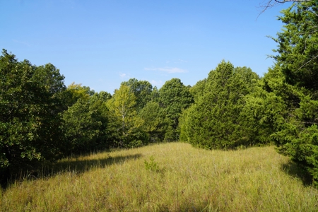NO RESERVE LAND AUCTION, Hunting Recreational, Asher, OK - image 11