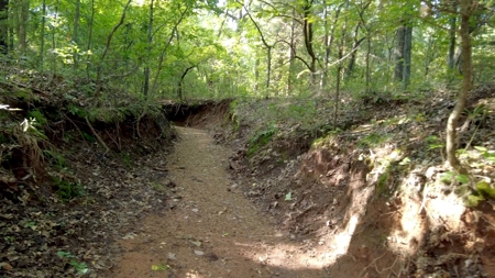 NO RESERVE LAND AUCTION, Hunting Recreational, Asher, OK - image 2