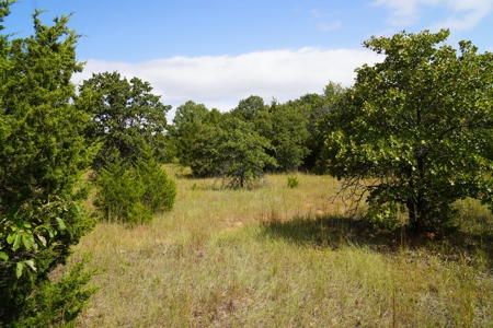 NO RESERVE LAND AUCTION, Hunting Recreational, Asher, OK - image 8