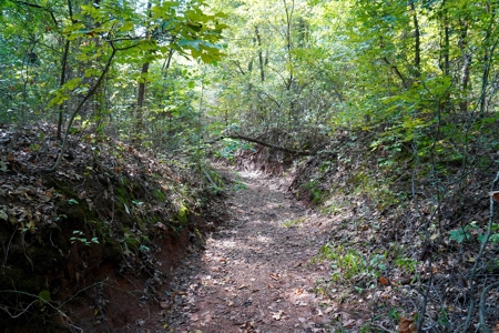 NO RESERVE LAND AUCTION, Hunting Recreational, Asher, OK - image 3