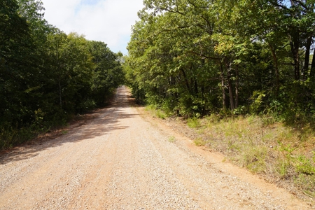 NO RESERVE LAND AUCTION, Hunting Recreational, Asher, OK - image 5
