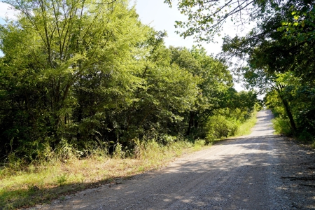 NO RESERVE LAND AUCTION, Hunting Recreational, Asher, OK - image 6