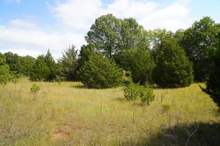 NO RESERVE LAND AUCTION, Hunting Recreational, Asher, OK - image 9