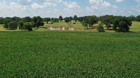 Seminole County OK Land Auction - image 6