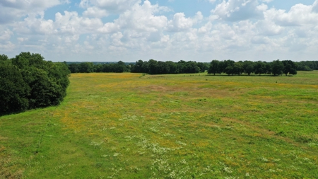 Seminole County OK Land Auction - image 13