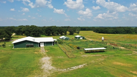 Seminole County OK Land Auction - image 9