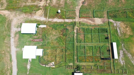 Seminole County OK Land Auction - image 17