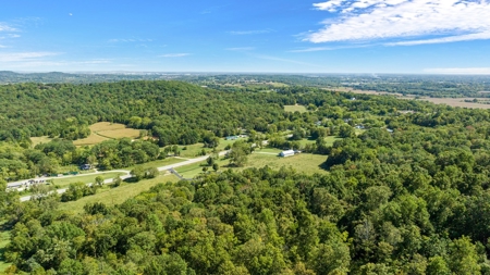 Brick Home & 21 Acres for sale @ Auction in Warren Co. KY. - image 6