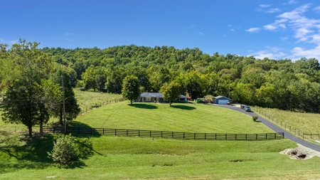 Brick Home & 21 Acres for sale @ Auction in Warren Co. KY. - image 10