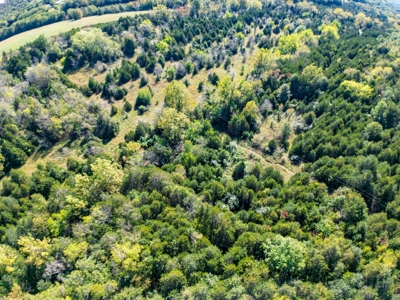 Rolla, MO Land Auction: Acreage for Sale in Phelps County - image 8