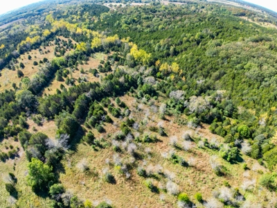 Rolla, MO Land Auction: Acreage for Sale in Phelps County - image 14