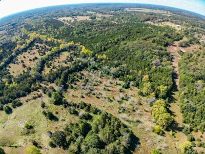 Rolla, MO Land Auction: Acreage for Sale in Phelps County - image 12