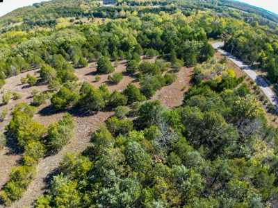 Rolla, MO Land Auction: Acreage for Sale in Phelps County - image 3
