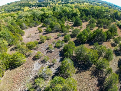 Rolla, MO Land Auction: Acreage for Sale in Phelps County - image 2