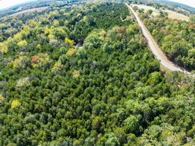 Rolla, MO Land Auction: Acreage for Sale in Phelps County - image 6