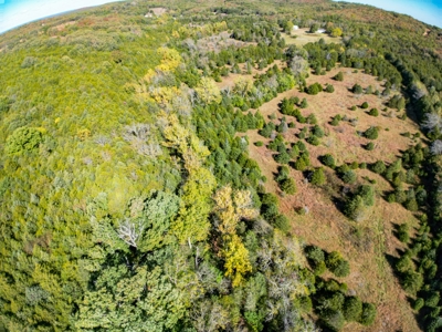 Rolla, MO Land Auction: Acreage for Sale in Phelps County - image 9