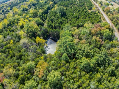 Rolla, MO Land Auction: Acreage for Sale in Phelps County - image 7