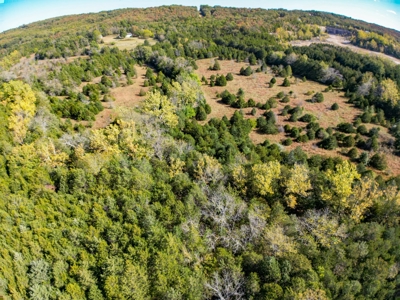Rolla, MO Land Auction: Acreage for Sale in Phelps County - image 4