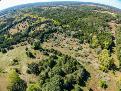 Rolla, MO Land Auction: Acreage for Sale in Phelps County - image 13