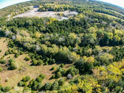 Rolla, MO Land Auction: Acreage for Sale in Phelps County - image 10