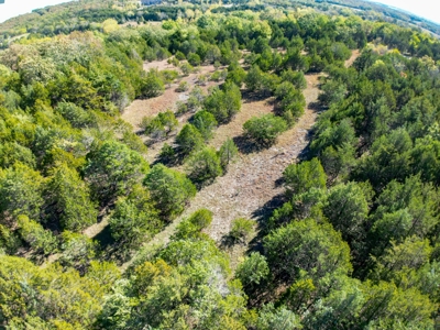 Rolla, MO Land Auction: Acreage for Sale in Phelps County - image 1