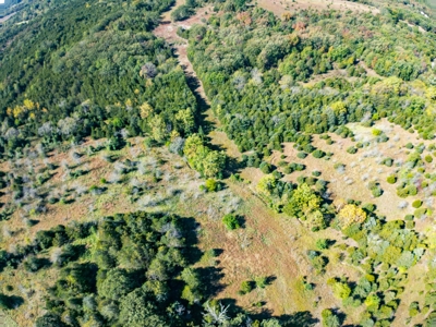 Rolla, MO Land Auction: Acreage for Sale in Phelps County - image 11
