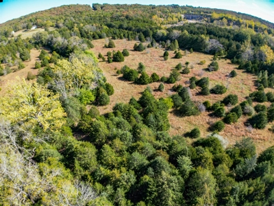 Rolla, MO Land Auction: Acreage for Sale in Phelps County - image 5