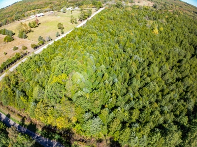 Rolla, MO Land Auction: Acreage for Sale in Phelps County - image 15