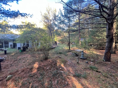 2 Country Homes Real Estate Auction in Montello and Pardeevi - image 50
