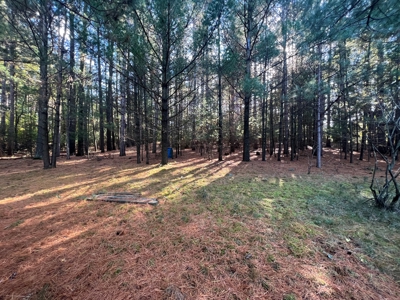 2 Country Homes Real Estate Auction in Montello and Pardeevi - image 30