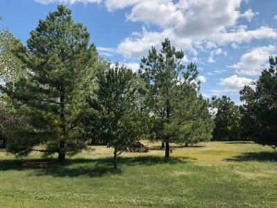 Country Home on Acreage - Chester Estate - Blanchard, Okla. - image 14