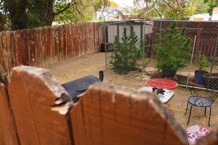 Investment Condos for sale in Western Colorado - image 5