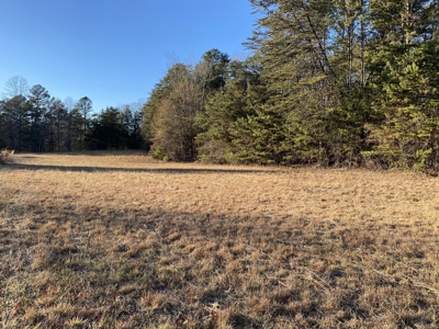 5.61 Acres, Zoned Residential in Winston-Salem - BID TO BUY! - image 6