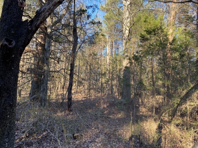 5.61 Acres, Zoned Residential in Winston-Salem - BID TO BUY! - image 4