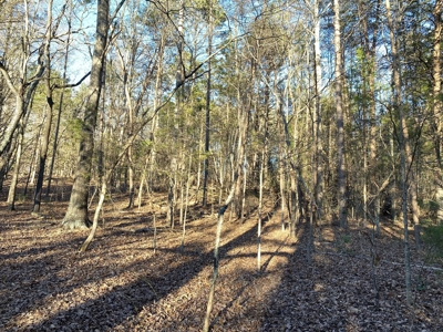 5.61 Acres, Zoned Residential in Winston-Salem - BID TO BUY! - image 3