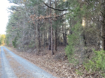 5.61 Acres, Zoned Residential in Winston-Salem - BID TO BUY! - image 7