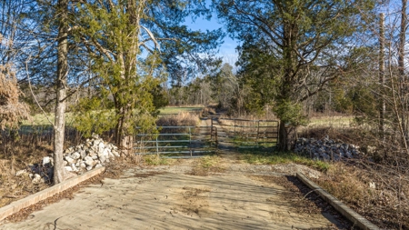 Home & 85.8 acres For Sale @ Auction in Warren County Ky. - image 33