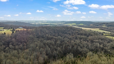 Home & 85.8 acres For Sale @ Auction in Warren County Ky. - image 26
